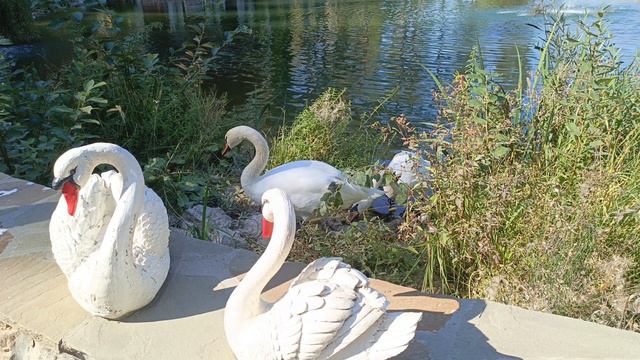 ЛЕСНАЯ СКАЗКА в Тамбове РАЗОЧАРОВАЛА # ОБЗОР 2024