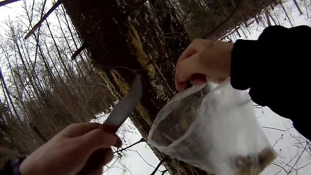 Что можно кушать зимой в Лесу. Экстремальная кухня. смотреть онлайн