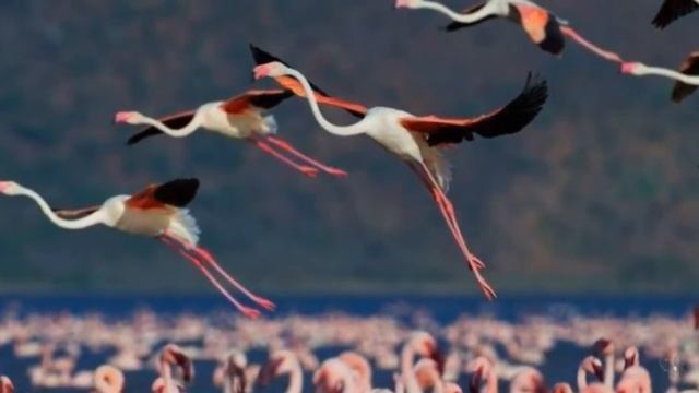 Думай о хорошем смотреть онлайн