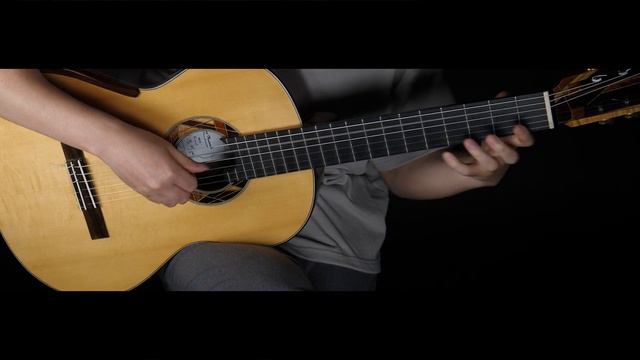 내 마음에 비친 내모습ㅣ유재하ㅣGuitar solo l IW смотреть онлайн