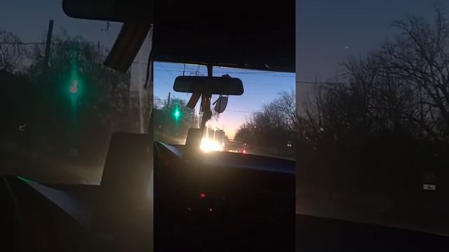 куда улетают птицы? смотреть онлайн