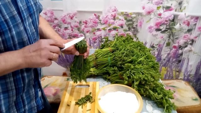 Шоу Акробатов и Аэробатики