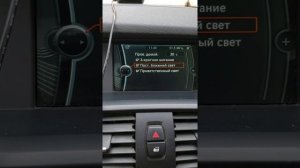 фишки БМВ Х3 F25 Поворотники