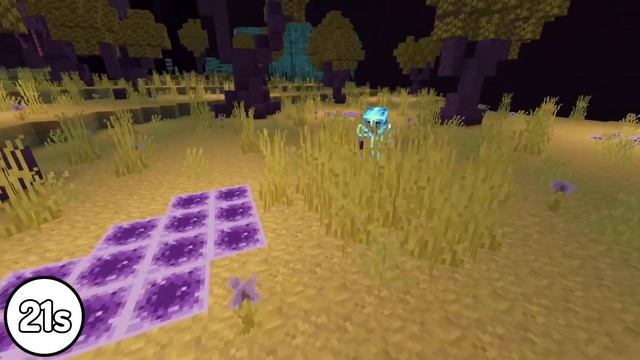 Minecraft 1.21: The End Update смотреть онлайн