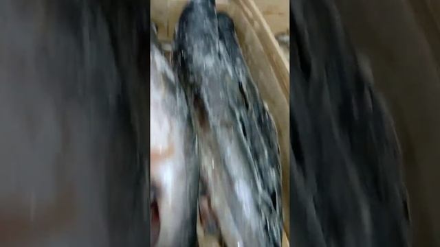 На обзор кижуч в магазине светофор смотреть онлайн