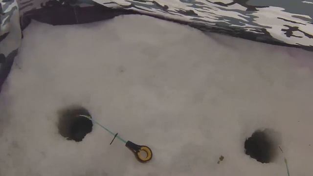 Ловим плотву зимой на реке Кашлам. 19 декабря 2015. смотреть онлайн