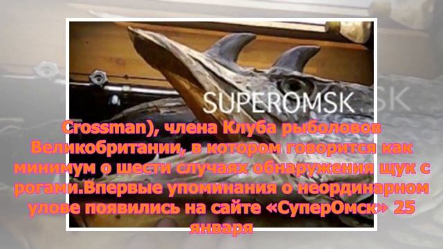 Рогатые щуки-драконы из Омска удивили британцев смотреть онлайн