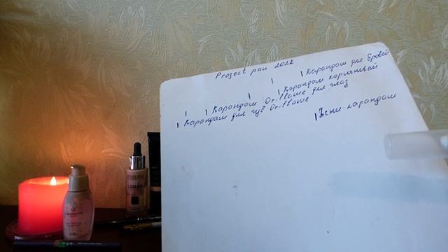 Project Pan 2022. Первый отчёт. (Прошло 3 месяца) смотреть онлайн
