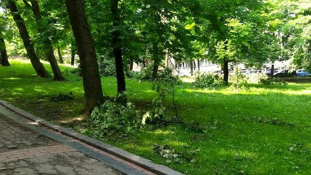 Львів: парк Франка, поламані після бурі дерева 30 червня 2021 р. смотреть онлайн