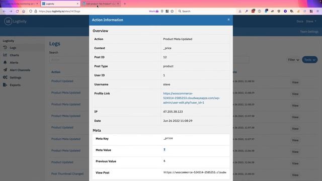 Logtivity is the Activity Log for All Important WordPress Site Changes смотреть онлайн