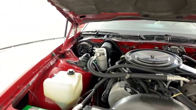 1982 Chevrolet Camaro Berlinetta For Sale