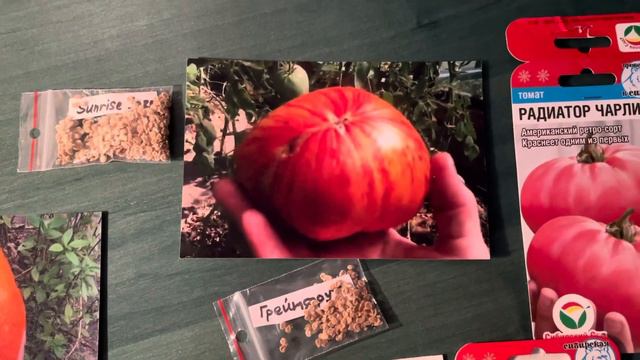 А вы пробовали эти вкуснющие томаты?! смотреть онлайн