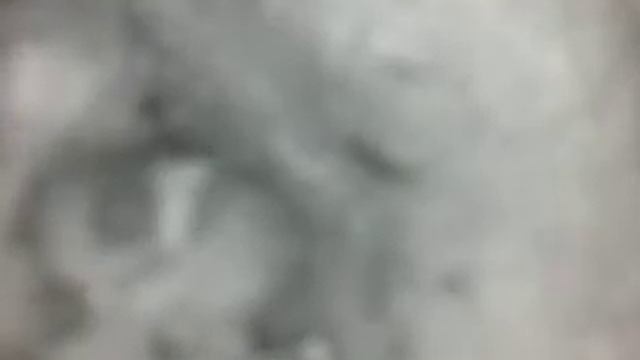 25.05.2020 08:04:40 птенцы клубком в гнезде. Глаза закрыты. на 1.40 птица принесла поесть.