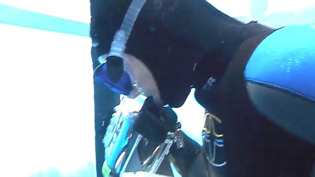 Swimming With Great White Sharks! - Angry Planet 112 - Wild Water смотреть онлайн
