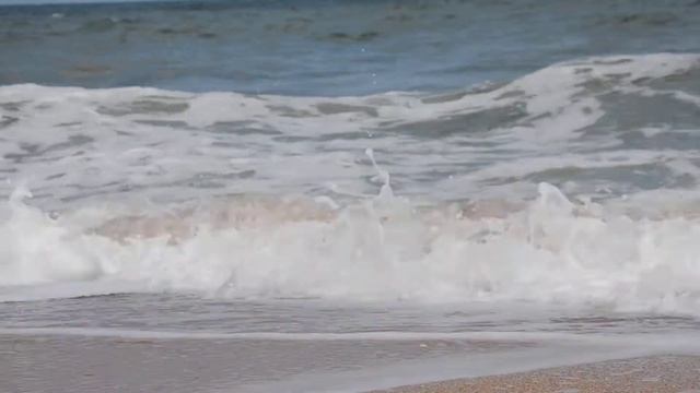 Море- волны- пена -вода -ракушки смотреть онлайн
