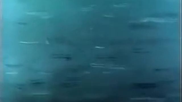 video1 смотреть онлайн