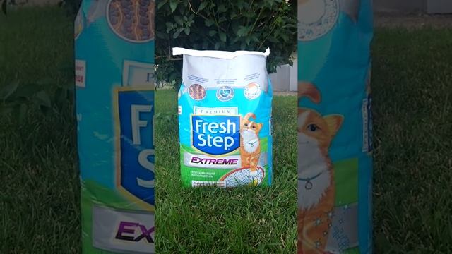 Самый лучший наполнитель для кошачьего туалета смотреть онлайн