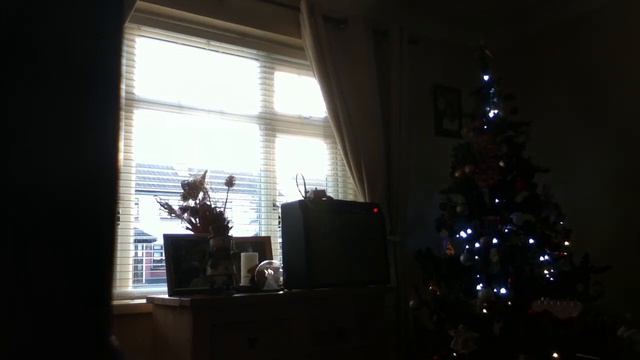 Fender Blackface Champ '65 смотреть онлайн