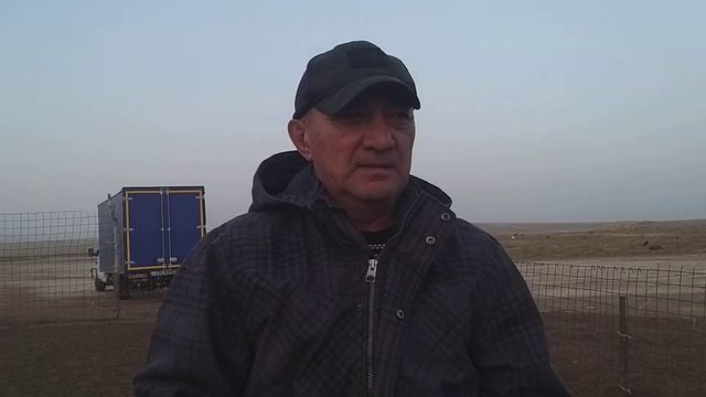 Гиссарские качкорчики с хозяйства Мирзо Надирова +77783746203 #гисар #баран #блогер #2021 смотреть онлайн