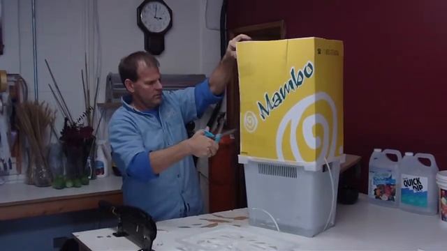 How To Prepare Procona Freedom Roses - lwflowers.com смотреть онлайн