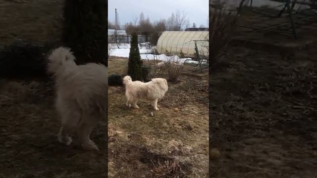 Малышка обрела дом. смотреть онлайн