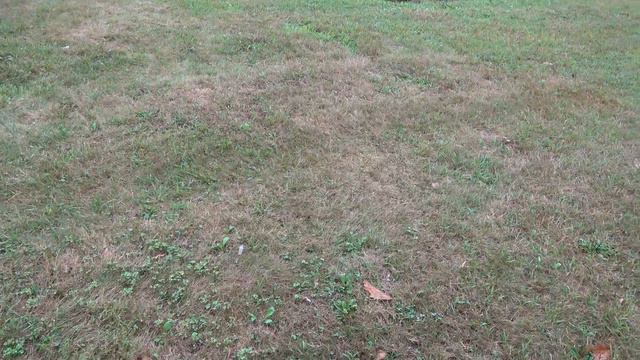 A Mean-Hearted MONSTER - The Kelli O'Laughlin Story. Fairmount-Willow Hills Cem., Willow Springs, I смотреть онлайн