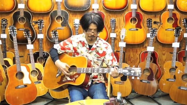 GIBSON DOVE 1969 смотреть онлайн