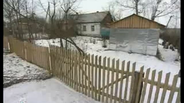 честный гаишник Павел Бобриков смотреть онлайн