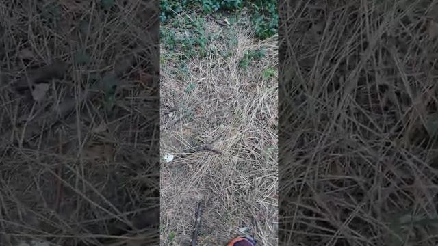 Агро бабка смотреть онлайн