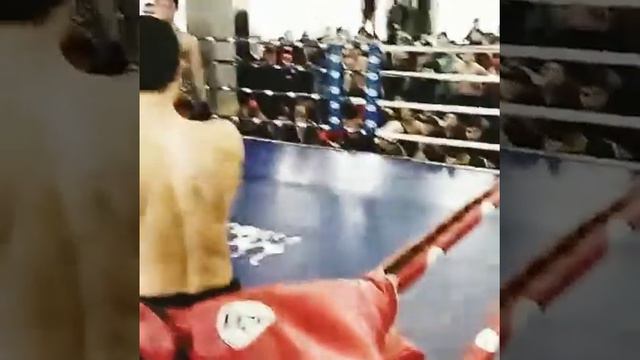 Акай чемпион смотреть онлайн