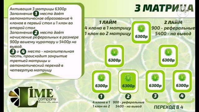 Маркетинг план рублевой программы Lime Company часть 1 смотреть онлайн