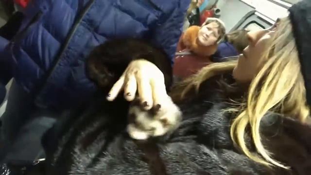 Фретка в метро под Нана и без(2) смотреть онлайн