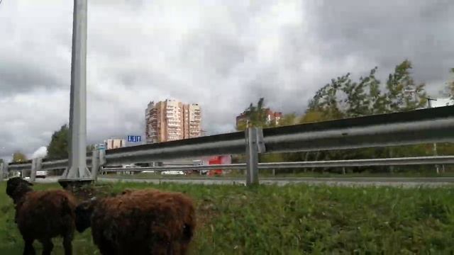 А стоит ли? В НИЖНИЙ ТАГИЛ! смотреть онлайн