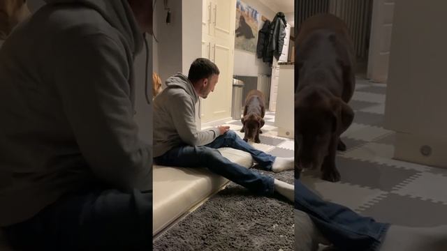 The disappearing ball ??♂️ смотреть онлайн