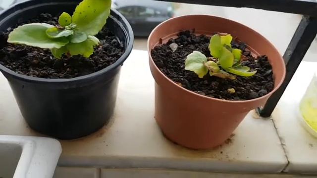 РАСПАКОВКА ПОСЫЛКИ. ПЕРВЫЕ ГОТОВЫЕ РАБОТЫ 2021 смотреть онлайн