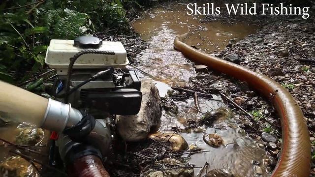 Skills Fishing, Find And Catch Many Fish with Powerful Pump, Catch Many Wild Fish смотреть онлайн