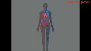 Что будет если пить кровь