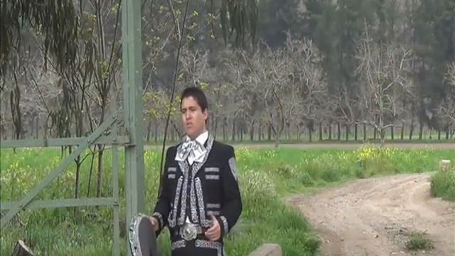 MARIACHI REY DE CHILE " NICOLAS DAVILA C." El Hijo Del Pueblo. смотреть онлайн