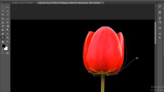 How to use Path Selection Tool and Direct Selection Tool in Photoshop | Tutorial (25) смотреть онлайн