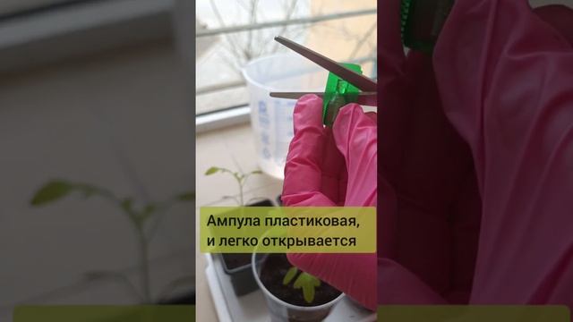 Поддержит рассаду Атлет смотреть онлайн