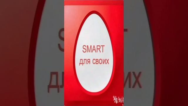 Смарт для своих#МТС#Безлимитный интернет смотреть онлайн