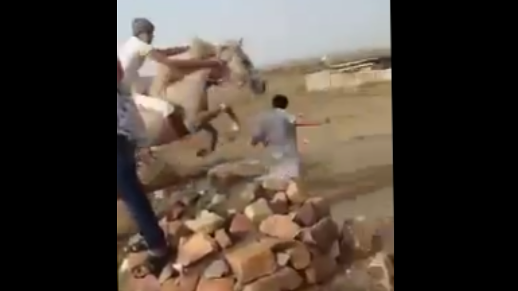 Арабский ковбой смотреть онлайн