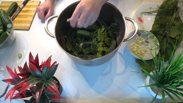 Астрономия и Космос