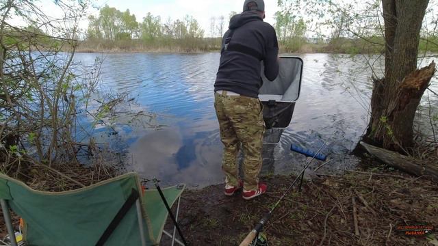 Экспериментальная рыбалка на фидер 5 дней в одном месте! День 2-й. Поклевок становится больше смотреть онлайн