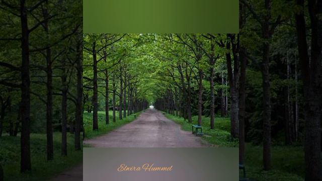 Боже какой пустяк.#Иванов#свист#позвать друзей#длядуши смотреть онлайн