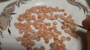 #ягодакалина #косточки/Особенности косточки калины обыкновенной(лат.viburnum opulus). Любознательны