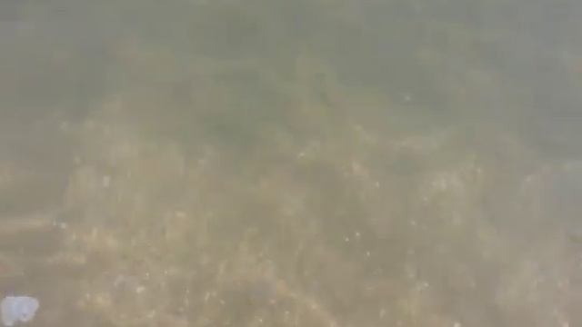 Шум прибоя.включи и расслабься.Каспийский берег смотреть онлайн