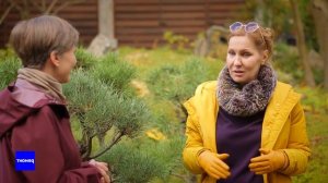 Как создать японский сад в России. Мастер-класс от Елены Асташкиной. Вокруг дома