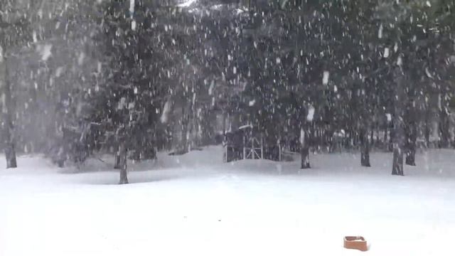 Winter Jazz Music - Cozy Atmosphere Of a Snowy Day - Instrumental Music смотреть онлайн