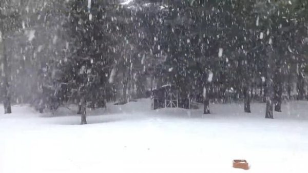 Winter Jazz Music - Cozy Atmosphere Of a Snowy Day - Instrumental Music